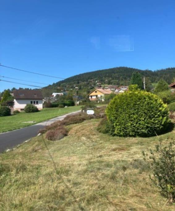 Les Deux Maisons - Little Green - Maison Cosy Proche Pistes Et Lac Gérardmer Buitenkant foto